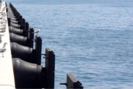 Θαλάσσιο κωνικό φτερό